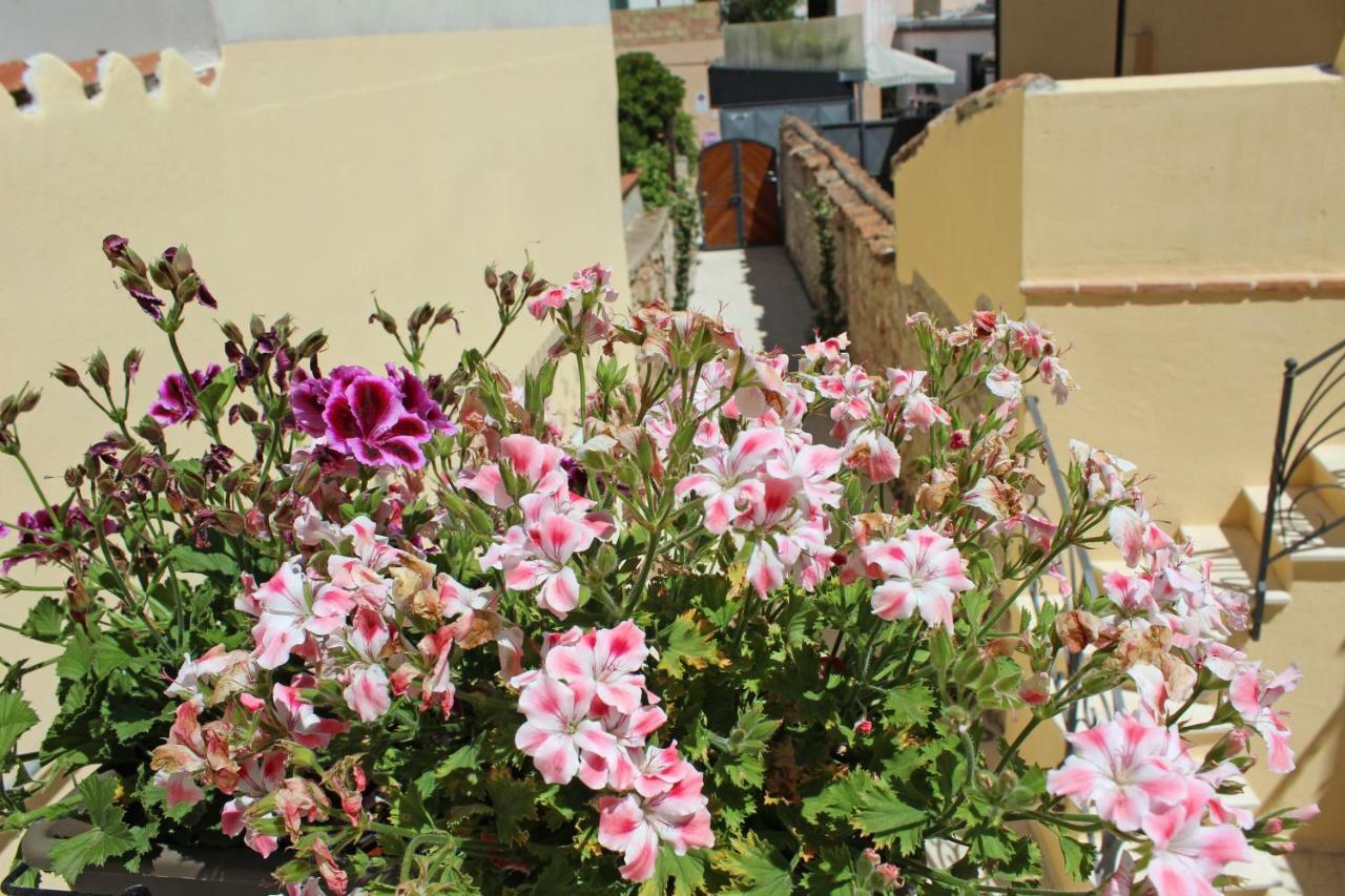 Ogliastra Luxury Apartment - Ajpsardinia Тортоли Экстерьер фото